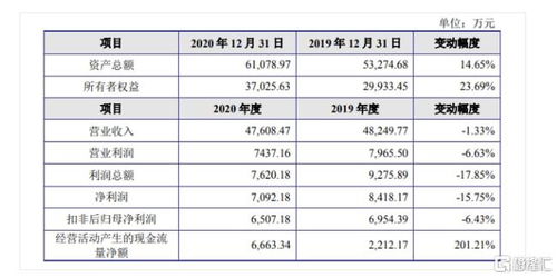 金智教育科创板IPO 聚焦高等教育信息化，2020年营收达4.7亿元，软件开发为核心引擎