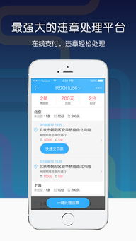 违章查询系统 信息系统集成服务在iOS版APP v4.2.0中的应用与体验